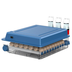 Inkubator za 56 jaja sa kontrolom vlage i temperature