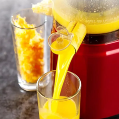 Sokovnik na hladno prešanje