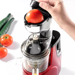 Sokovnik na hladno prešanje