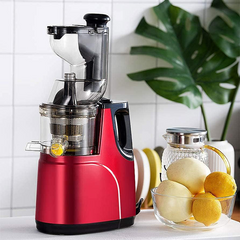 Sokovnik na hladno prešanje