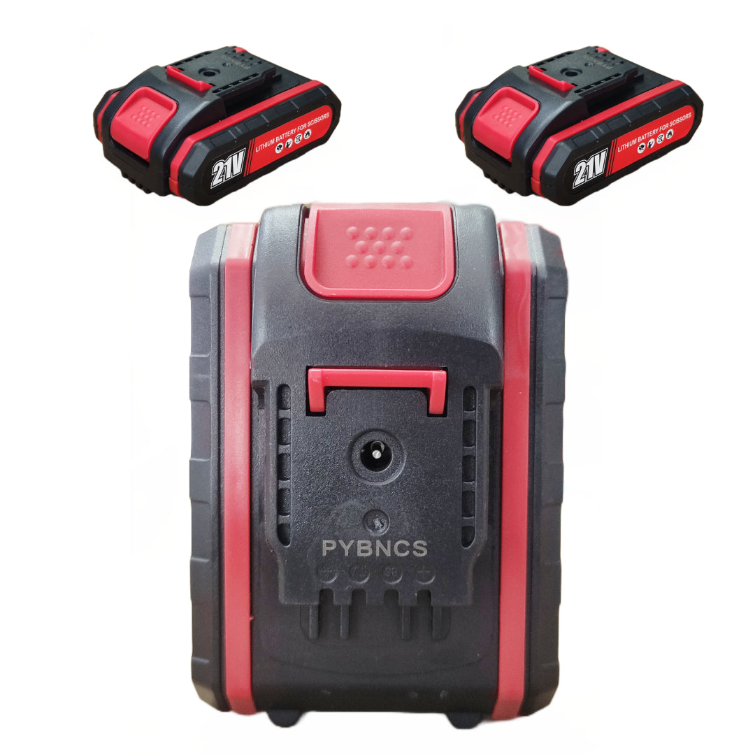 Set mini aku pila + aku škare 21v x 2