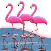 Solarna vrtna dekoracija | Flamingo(3KOM)